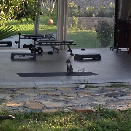 Dance And Sport Bed & Breakfast Akyarlar